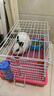 再再兔子飼料提摩西草荷蘭豬飼料兔子用品幼兔糧食兔草垂耳兔寵物糧 綜合牧草鮮蔬 曬單實拍圖