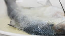 品鮮肴冰鮮鰣魚(yú) 鮮活現殺湖區生態(tài)養殖鰣魚(yú) 淡水魚(yú)海鮮水產(chǎn) 600-700g/條 1條裝（現稱(chēng)重非凈重） 曬單實(shí)拍圖