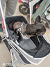 DO DO PET寵物推車(chē)輕便可折疊遛狗車(chē)中小型犬柯基柴犬狗狗手推車(chē)貓咪小推車(chē) 灰色升級款-加高加寬-搖籃可分離 建議狗狗30斤內，貓咪1-3只 曬單實(shí)拍圖