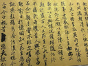 適意臨溪純狼毫專(zhuān)業(yè)級行書(shū)毛筆趙孟頫中楷王羲之圣教序專(zhuān)用筆行草手札中號高檔初學(xué)者入門(mén)草書(shū)書(shū)法練字 臨溪（精選優(yōu)質(zhì)狼尾 適合5cm以?xún)鹊淖郑?狼毫 曬單實(shí)拍圖
