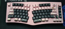 FeisKeyBorFEKER Alice75鋁坨坨3°坡度人體工程學(xué)藍牙無(wú)線(xiàn)三模熱升華鍵帽機械鍵盤(pán) 山嵐-三模紫鳶軸-送手托 曬單實(shí)拍圖