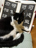 乙瑛碑 全文放大 名家墨寶選粹臨帖放大本 全本彩印米字格單字注釋 漢隸隸書碑帖書法毛筆字帖 崇文書局 曬單實拍圖