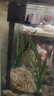適之適用海斯寶魚(yú)缸水泵三合一過(guò)濾器超靜音潛水泵增氧泵多功能循環(huán)泵 夾片卡扣JP*360/6W(無(wú)吸盤(pán))送棉 曬單實(shí)拍圖