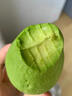 南步云南哈斯牛油果 孟連國(guó)產(chǎn)即食鱷梨巨無(wú)霸寶寶新鮮健康輕食水果 牛油果 2個(gè)裝 中果【100-140g】 曬單實(shí)拍圖