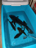 美人魚(yú)魚(yú)線(xiàn)經(jīng)典款2代原絲釣魚(yú)線(xiàn)主線(xiàn)垂釣二代30米 曬單實(shí)拍圖