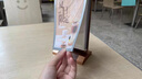 菜牌廣告宣傳單頁展示架活頁文件夾收納展架桌面臺式翻頁臺卡A4資料架 翻頁臺卡A6（10*15cm） 曬單實拍圖