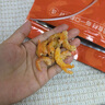 北海印象【北海館】蝦米海米干貨200g大蝦仁特大淡干鉤新鮮不咸開(kāi)洋金海米 大號(hào)蝦仁干200克 曬單實(shí)拍圖