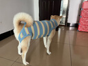 拉維佩特（LOVINGPET）寵物狗絕育手術(shù)服 大中小型犬絕育衣服狗狗術(shù)后服公狗母狗絕育服 淺藍(lán)色 L 建議18-30斤 曬單實(shí)拍圖