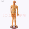 卓越科人體針灸模型經(jīng)絡(luò )穴位中醫全身十二經(jīng)絡(luò )銅人扎針練習小皮人數字定位穴位模特圖 曬單實(shí)拍圖