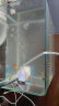 京业JINGYE 鱼缸多功能过滤器JY-6000F款4W 鱼缸水泵过滤桶氧气量可调 晒单实拍图