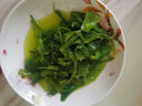 即食裙帶菜 海草絲海藻沙拉開(kāi)胃涼菜海白菜 芥末裙帶菜 200g*1袋 嘗鮮裝 曬單實(shí)拍圖