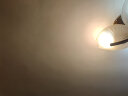 美的（Midea）LED灯泡节能E27大螺口螺纹家用光源 15瓦暖白光球泡单只装 实拍图
