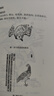 正版 山海經(jīng)全集正版原版全注全譯白話(huà)文青少版圖解山海經(jīng)原著全套成人版畫(huà)集上古校注觀山海三海經(jīng) 6冊(cè)無(wú)刪減 山海經(jīng)原著正版 曬單實(shí)拍圖