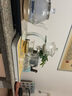 正揚(yáng)懶人玻璃自動(dòng)茶具套裝辦公高檔耐熱整套功夫磁吸泡茶神器透明茶杯 玻璃(追月)自動(dòng)+6高雙+長琴白 曬單實(shí)拍圖