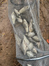 小鳳仙靜音氧氣泵 增氧泵 魚缸充電 充氧泵鋰電池 USB充電便攜釣魚裝備 雪糕藍 曬單實拍圖