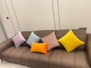 沁汐靠枕天鵝絨輕奢超柔ins靠墊套簡(jiǎn)約大靠背墊客廳絲絨純色沙發(fā)抱枕 愛(ài)馬仕橙 30cm*50cm 含枕芯 【長(cháng)方形】 曬單實(shí)拍圖
