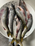 昱品源溪石斑魚(yú)淡水光唇魚(yú)小河魚(yú)冷水魚(yú)清水魚(yú)高山泉水魚(yú)黃山石斑魚(yú)雜魚(yú) 凈膛400g（真空裝） 曬單實(shí)拍圖