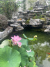 森淵魚缸造景裝飾溪流石主石大塊巖片石頭水陸缸原生態(tài)水草缸套餐底砂 人工溪流拾取【五斤】15-25cm 曬單實(shí)拍圖