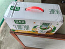 豆本豆【新品】生椰豆奶250ml*20盒生榨椰汁植物蛋白飲料學(xué)生奶早餐奶 生椰豆奶250ml*20盒 曬單實(shí)拍圖