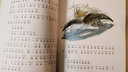 冰波純美童話系列：月光下的肚肚狼+藍(lán)鯨的眼睛(注音版套裝2冊) 曬單實拍圖