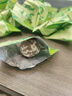 爾婭貝酵素梅便秘排毒減肥酵素清腸便秘潤(rùn)腸通便排毒瘦身燃脂排油適合 20顆梅子[適合100-120斤] 曬單實(shí)拍圖