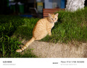 索尼(Sony)A6600 A6500 A6400 A6300 A6000半幅二手微單相機(jī) A6000黑色+永諾50mmF1.8二代小痰盂套機(jī) 95新 曬單實(shí)拍圖