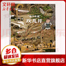 地下長(cháng)城 坎兒井 幼兒圖書(shū) 繪本 早教書(shū) 兒童書(shū)籍 圖書(shū) 曬單實(shí)拍圖