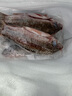 貓撲魚(yú)（mao pu yu）微山湖生態(tài)鯽魚(yú)(凈膛) 淡水魚(yú)現捕現殺 生鮮 老人孕產(chǎn)婦燉湯 一斤大號鯽魚(yú)（每斤2-3條） 曬單實(shí)拍圖