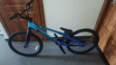 HAROBMX小輪車(chē)泥地競速泵道訓練自行車(chē)成人初學(xué)者兒童訓練奧運比賽 【BMX專(zhuān)家XL】EXPERT XL 曬單實(shí)拍圖