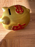 盧米歐金豬存錢(qián)罐只進(jìn)不出超大號兒童女儲蓄罐成人儲錢(qián)罐擺件男孩子禮物 聚財一級瓷(可存可取)帶金墊 長(cháng)寬高【18*16*14】存2萬(wàn) 曬單實(shí)拍圖
