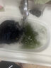 她享短袖連衣裙女小個(gè)子收腰顯瘦牛仔連衣裙氣質(zhì)百搭裙子 T143Q1346 曬單實(shí)拍圖