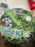 IAM City Farmer 欧洲香草DIY趣味种植盆栽百里香厨房香草春种小盆栽儿童种植 实拍图