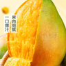 【整箱】彩虹凱特芒果3-4粒1.5kg 曬單實(shí)拍圖