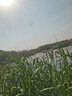仆旅發(fā)動(dòng)機(jī)艙清洗劑汽車(chē)強(qiáng)力去油泥清洗劑發(fā)動(dòng)機(jī)外部免拆卸免水洗 曬單實(shí)拍圖