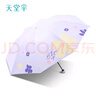 天堂傘新品黑膠防曬防紫外線太陽傘便攜折疊晴雨兩用女士傘 夏天的風(fēng)-粉色 曬單實(shí)拍圖