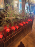 菲享 太陽能燈籠彩燈氛圍燈紅燈籠燈串家用戶外庭院春節(jié)過年裝飾掛件 插電款+8功能閃爍模式 5米20燈 【雙層炫彩+高續(xù)航長壽命+遙控】 曬單實(shí)拍圖
