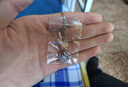 唯一（Winy）銀項鏈一路有你鹿角女士吊墜2025新款送老婆生日情人節禮物 曬單實(shí)拍圖