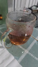 明尊（LIGHTKING）玻璃茶杯 帶過濾內(nèi)膽辦公泡茶杯三件杯品茗杯玻璃茶具茶水分離杯 S-015B【500ml】 曬單實(shí)拍圖