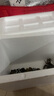 【活蟹】絕對鮮森大閘蟹鮮活螃蟹去繩足重全母蟹現貨特大湖蟹禮盒 精選大閘蟹*全母蟹2.0-2.3兩8只 曬單實(shí)拍圖