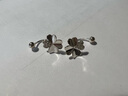 榛橙【繁花】S999足銀花朵流蘇耳環(huán)女新款小眾設(shè)計(jì)感擰螺絲養(yǎng)耳洞耳釘 無流蘇款花朵 曬單實(shí)拍圖
