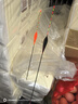 黃金眼 新品碳素納米大物漂鰱鳙大頭魚(yú)漂防爆頂硬尾醒目加粗漂尾 三代碳素大物漂T-22(加大加粗尾) 1號(hào)一支 曬單實(shí)拍圖