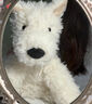 Jellycat門(mén)羅蘇格蘭梗西高地動(dòng)物動(dòng)物毛絨玩偶狗公仔生日新婚禮物 門(mén)羅蘇格蘭梗 Medium 曬單實(shí)拍圖