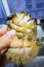 參龍軒海產(chǎn)海鮮干貨禮盒海參鮑魚花膠組合干貨禮盒 中秋節(jié)日送禮 海參禮盒海禮禮盒 曬單實(shí)拍圖