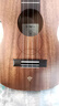 Tom尤克里里成人兒童初學(xué)者26寸桃花心木單板T5S經(jīng)典版烏克麗麗 曬單實(shí)拍圖