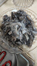 遇上鮮舟山野生小墨魚(yú)仔 東海新鮮冷凍墨魚(yú)3斤 小烏賊目魚(yú)烏賊 海鮮水產(chǎn) 3斤(凈重)  【5-6只/斤裝】 曬單實(shí)拍圖