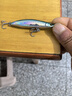 藍旗魚(yú)仿生餌詭道魚(yú)鱗沉水鉛筆超遠投顫泳水下狗步路亞假餌翹嘴鱖魚(yú)鳡魚(yú) 76mm-12.8g-FS02#魚(yú)鱗青鰷 曬單實(shí)拍圖