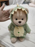 莉娜熊（TeddyTales）公仔娃娃玩偶娃衣替換裝服裝 恐龍 適用30cm（不含崽） 曬單實(shí)拍圖
