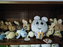 名創(chuàng  )優(yōu)品（MINISO）chiikawa中號站姿公仔毛絨玩偶抱枕禮物女Kurimanju栗子饅頭 曬單實(shí)拍圖