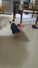 冇寵秋冬狗狗衣服保暖中型犬可牽引棉衣柯基柴犬泰迪寵物休閑馬甲冬季 繡標(biāo)棉衣 藏藍色 3XL號（建議24-28斤左右） 曬單實拍圖