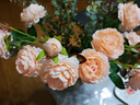 迷.妝牡丹仿真花絹花室內假花干花玫瑰花花束餐桌花擺設客廳裝飾花擺件   5支香檳牡丹+2支尤加利秋色 曬單實拍圖